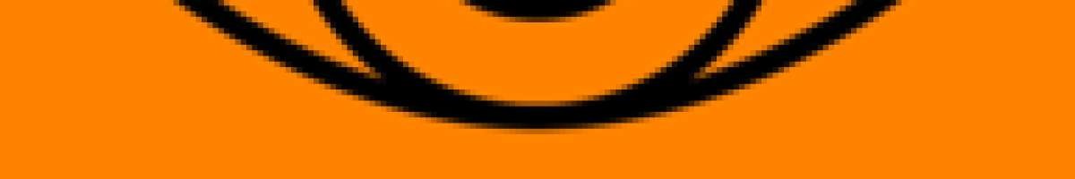 Mediaroot
