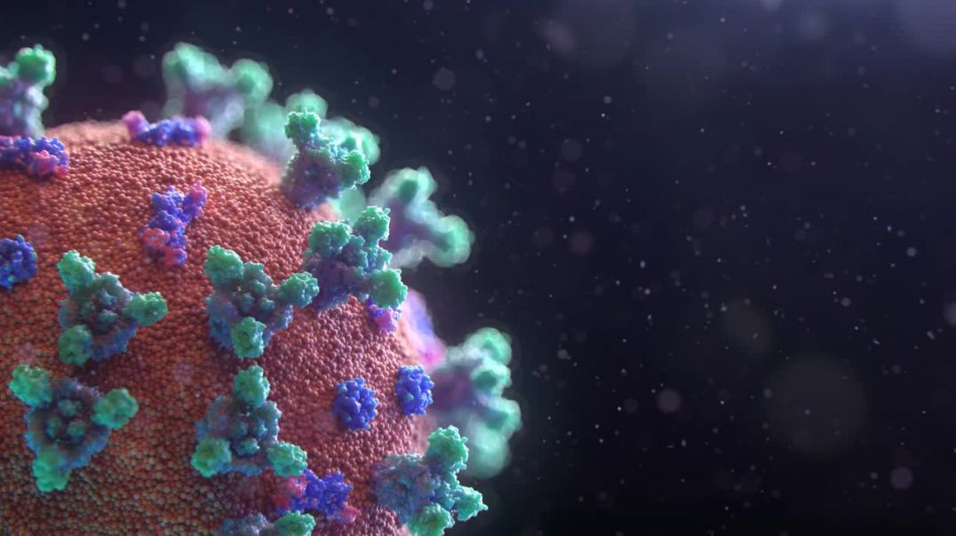 ⁣Coronavirus-Schwindel einfach erklärt