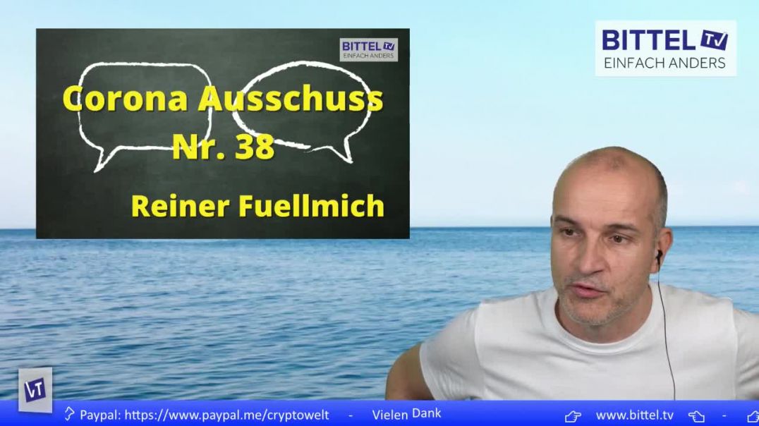 LIVE - Reiner Fuellmich - Corona Ausschuss Nr. 38 - Summary