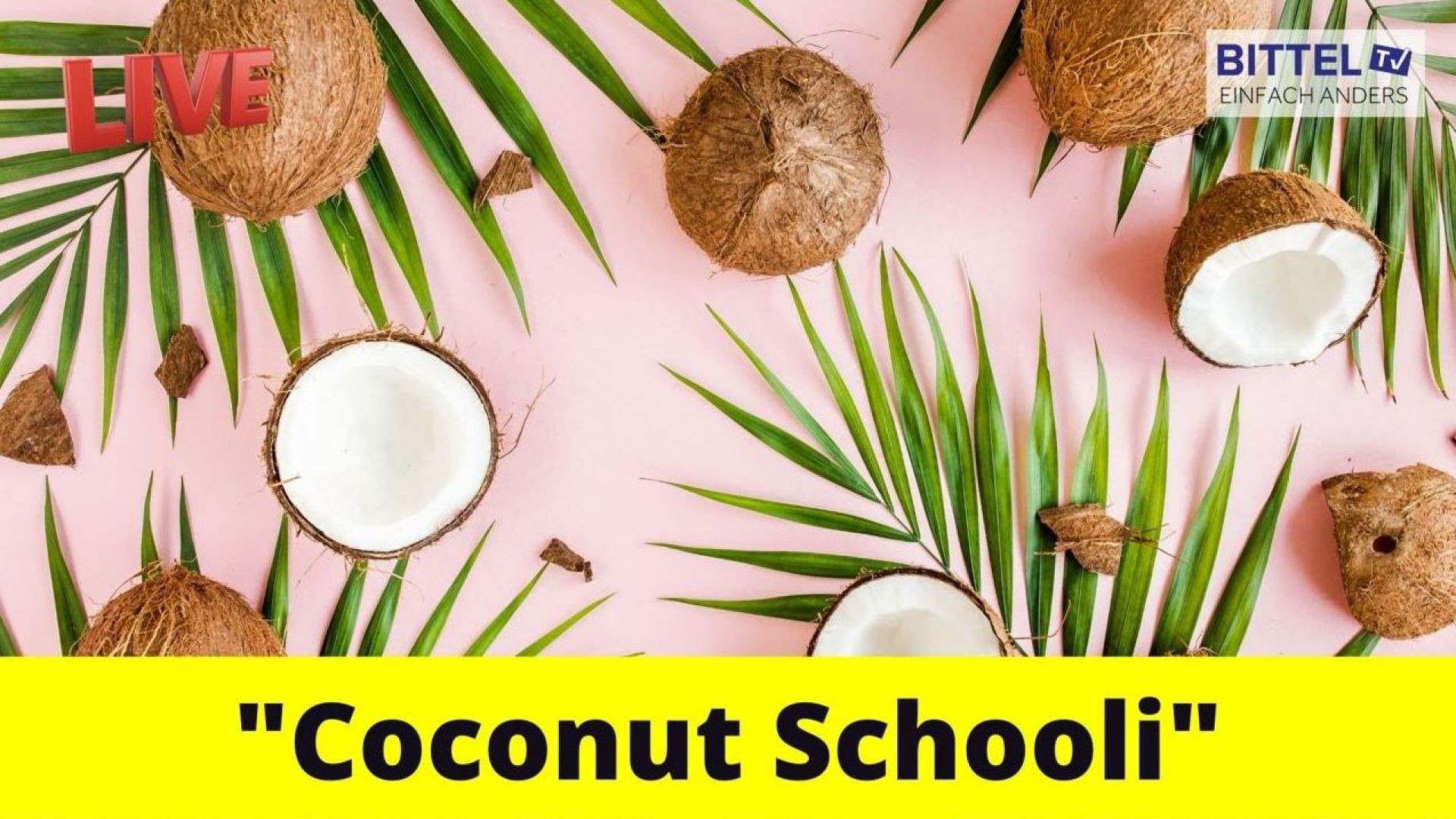 ⁣Coconut School - 12.11.21