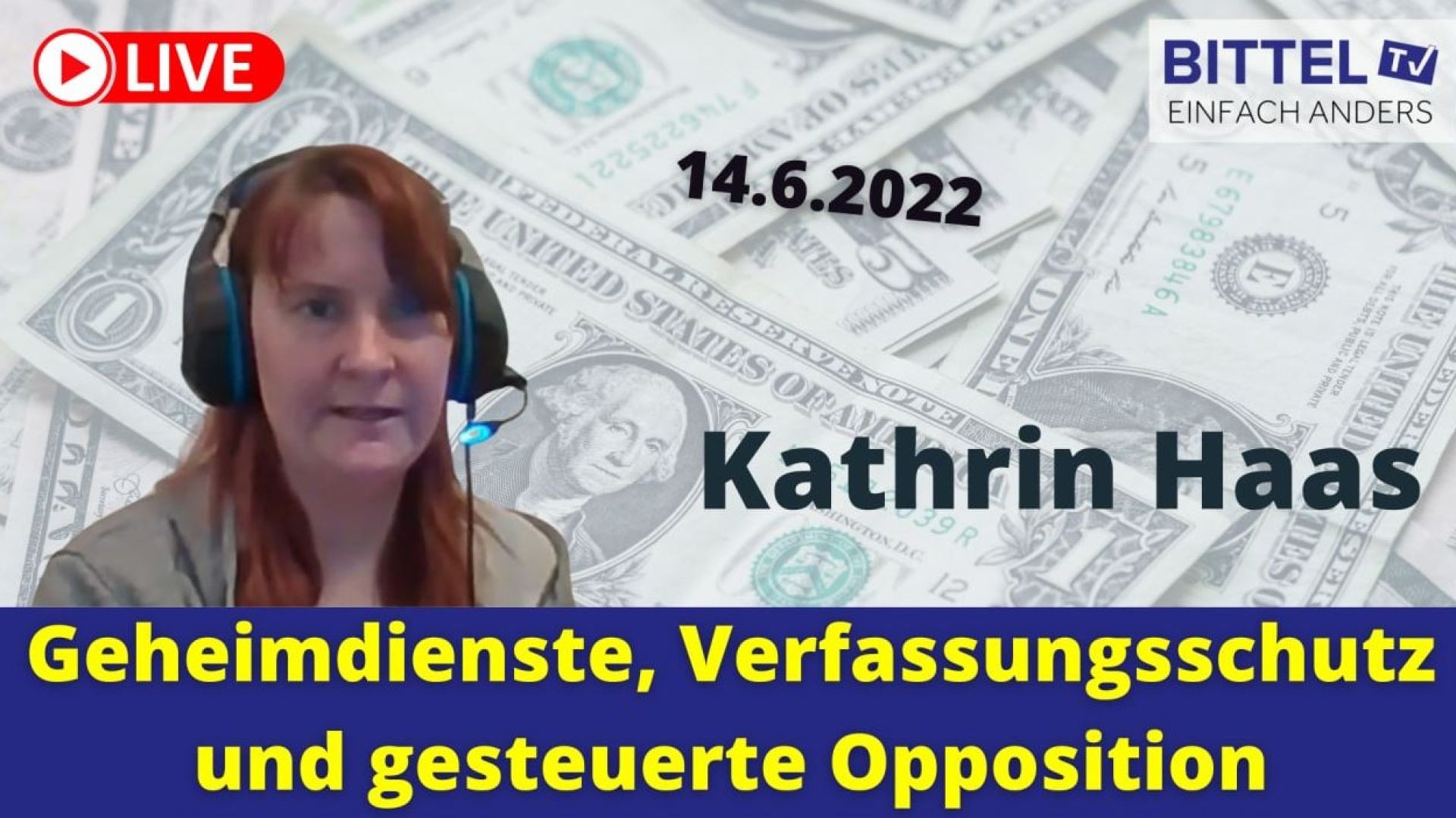 ⁣Kathrin Haas - Geheimdienste, Verfassungsschutz und gesteuerte Opposition - 14.06.22