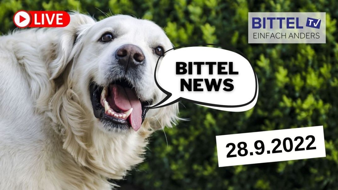 ⁣BITTEL NEWS Teil1 - 28.09.22
