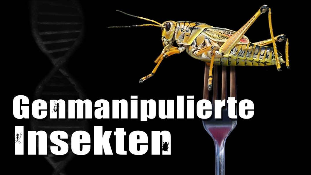 ⁣Genmanipulierte Insekten – sind die Risiken beabsichtigt?