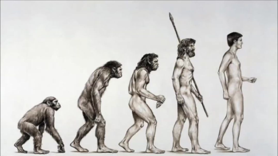 Die Dreist Erfundene Evolutionslüge