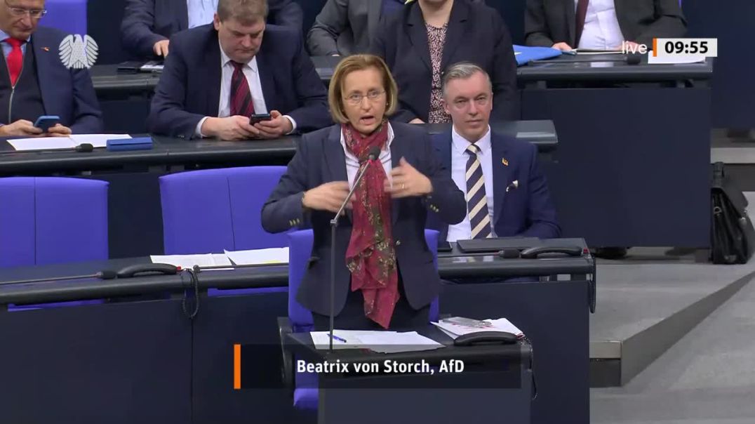 ⁣Beatrix von Storch (AfD) - Unglaublich_ Zensur beschlossen, aber FDP schwurbelt