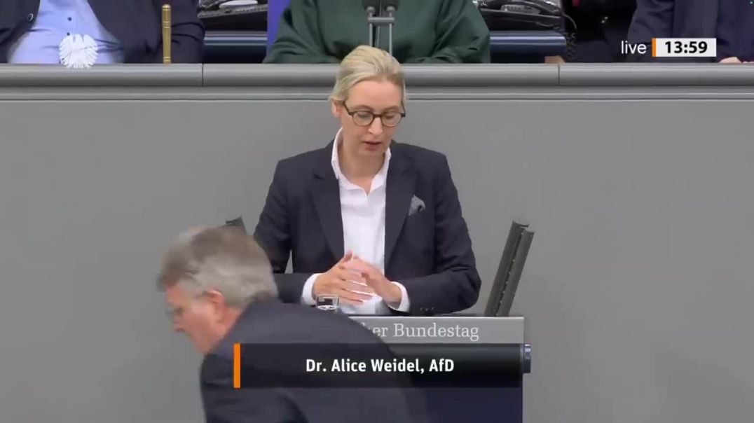 Alice Weidel fordert Verhandlungen und rechnet mit den Kriegstreibern ab! - AfD-