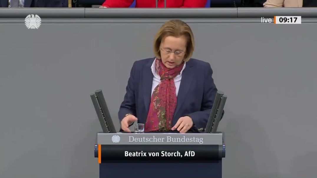 ⁣Beatrix von Storch (AfD) - Beschlossen_ Online-Stasi und noch mehr Internetzensu