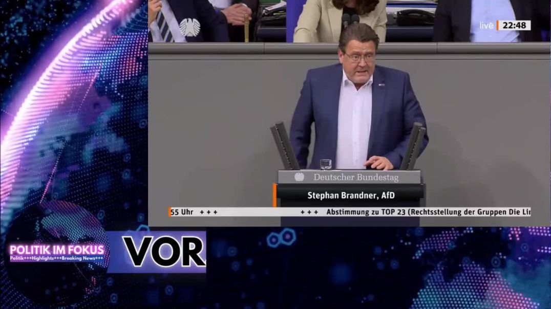 AfD im Bundestag Stephan Brandner, Peter Boehringer uvm