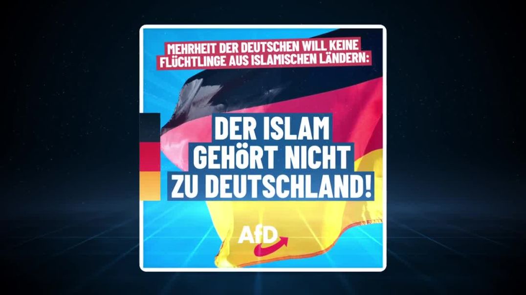 ⁣🚨 MEHRHEIT der Deutschen will keine MUSLIMISCHEN Flüchtlinge mehr AfD Tweets und News!