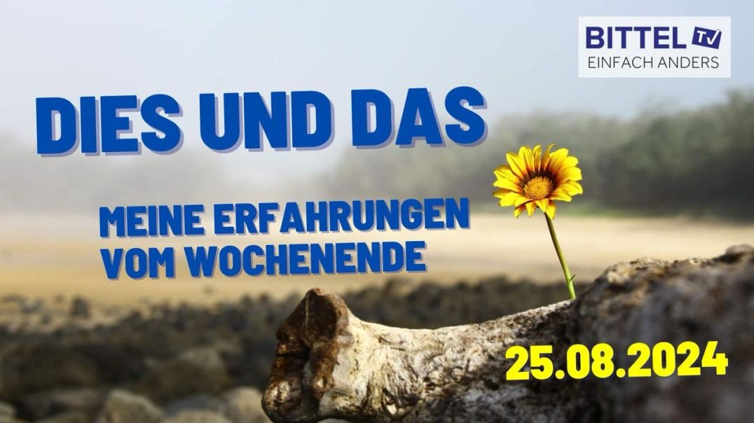 ⁣DIES UND DAS - Erfahrungen vom Wochenende - 25.08.2024