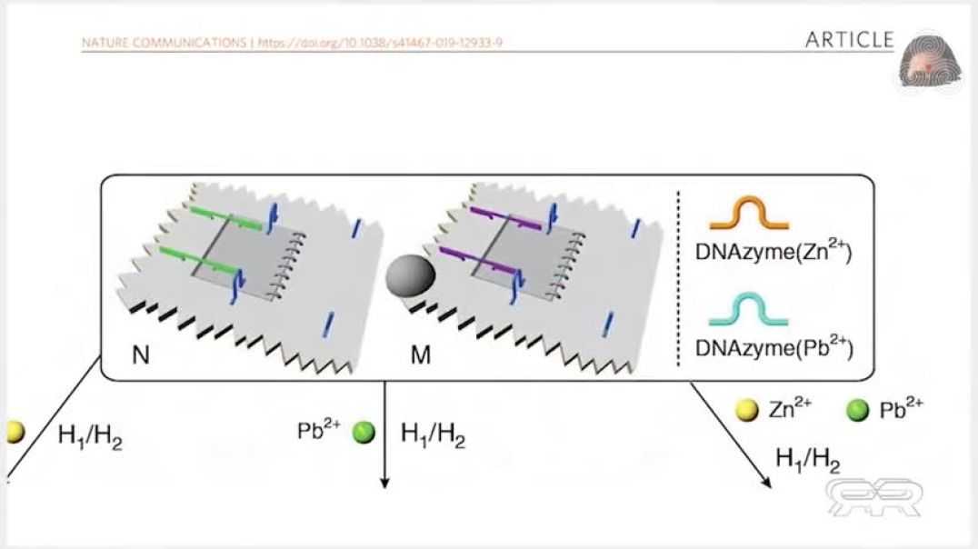 ⁣Neue Studie zeigt selbstorganisierende Nanobots in den COVID-19 Injektionsmitteln