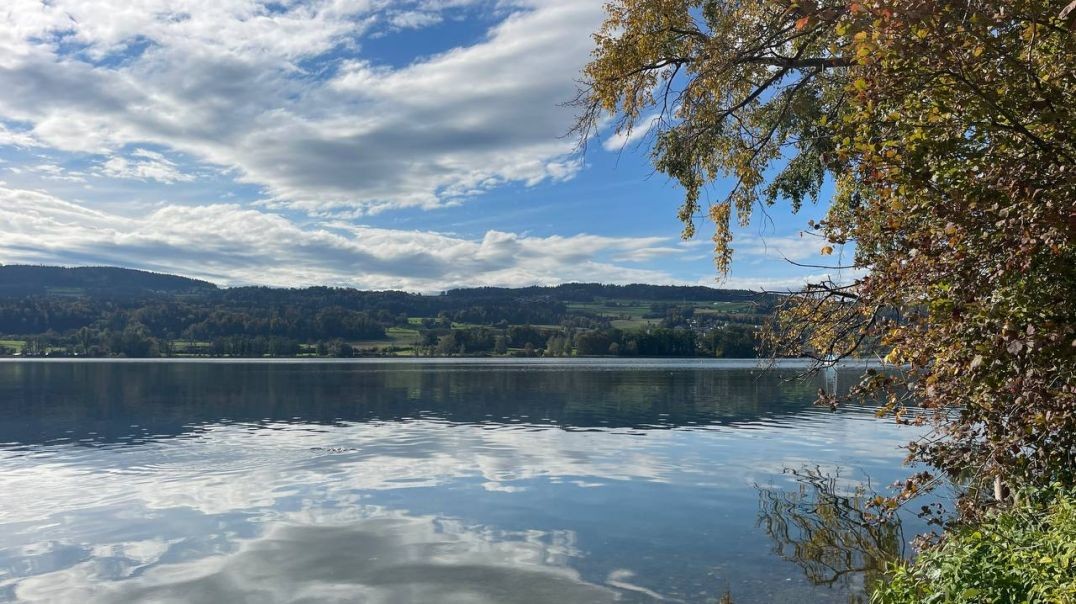 ⁣Roger am Greifensee - Rück- und Ausblick - 14.10.2024