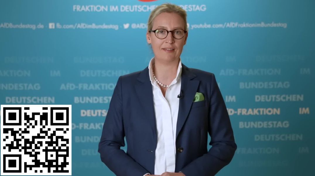 ⁣So lahmt die CDU den parlamentarischen Betrieb - Alice Weidel -