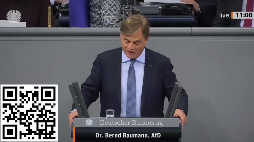 ⁣Die CDU ist Teil des links-grunen Problems Bernd Baumann AfD - Y