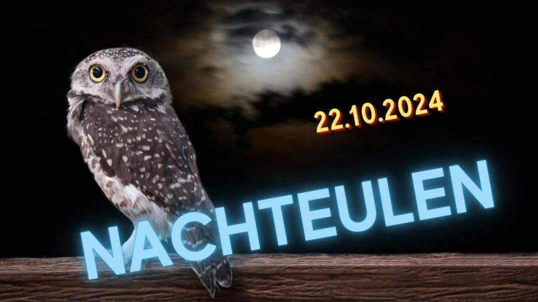 ⁣Nachteulen - 22.10.2024