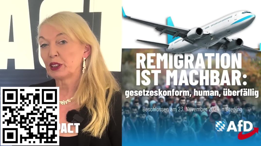 ⁣Dr Rothfuß AfD Wir wollen Remigration - YouTube