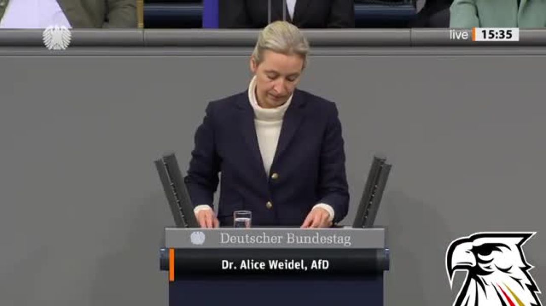 ⁣Alice Weidel zerlegt Kanzler und Altparteien