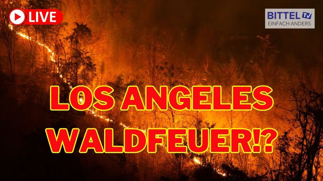 ⁣Los Angeles - Waldfeuer!? - 26.01.2025