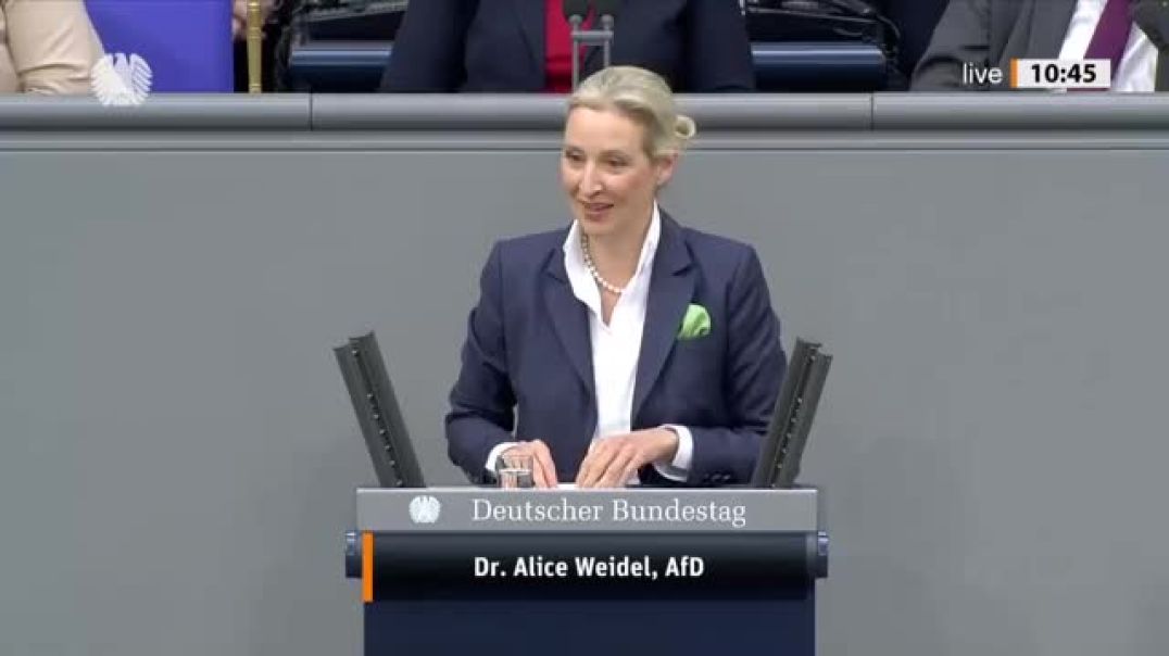 ⁣Alice Weidel knöpft sich die Grünen vor! 😂 - AfD-Fraktion im Bundestag