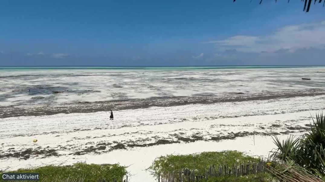 ⁣Blick auf den Strand - 06.03.2025