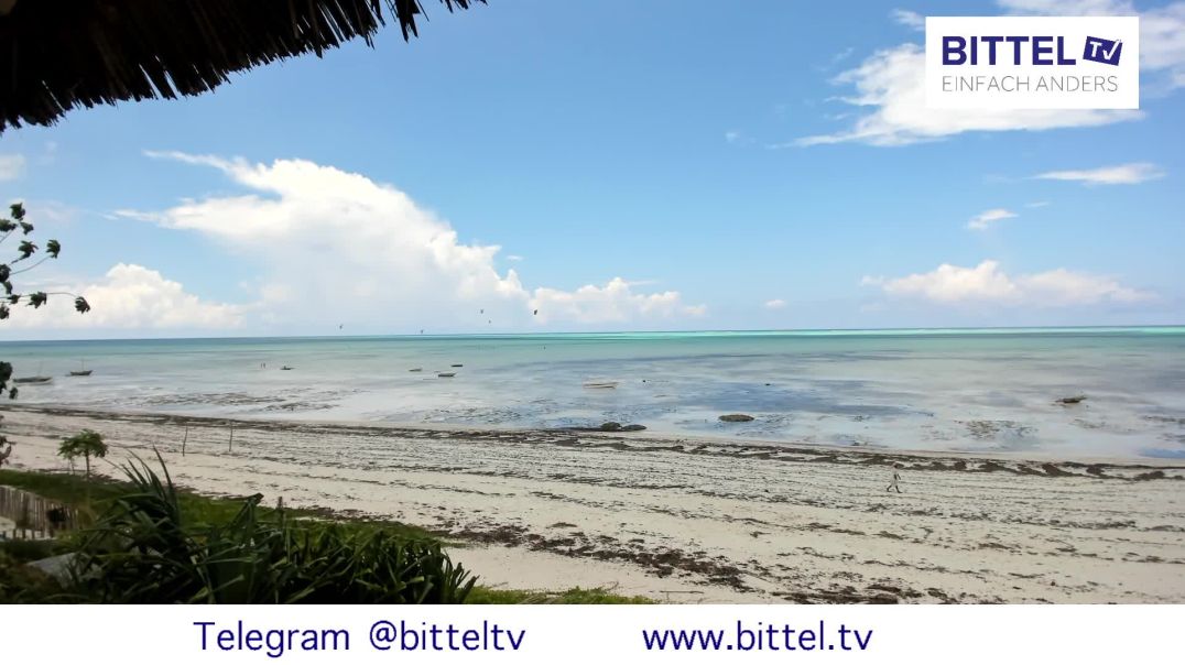 ⁣Webam vom Strand aus Sansibar - 07.03.2025