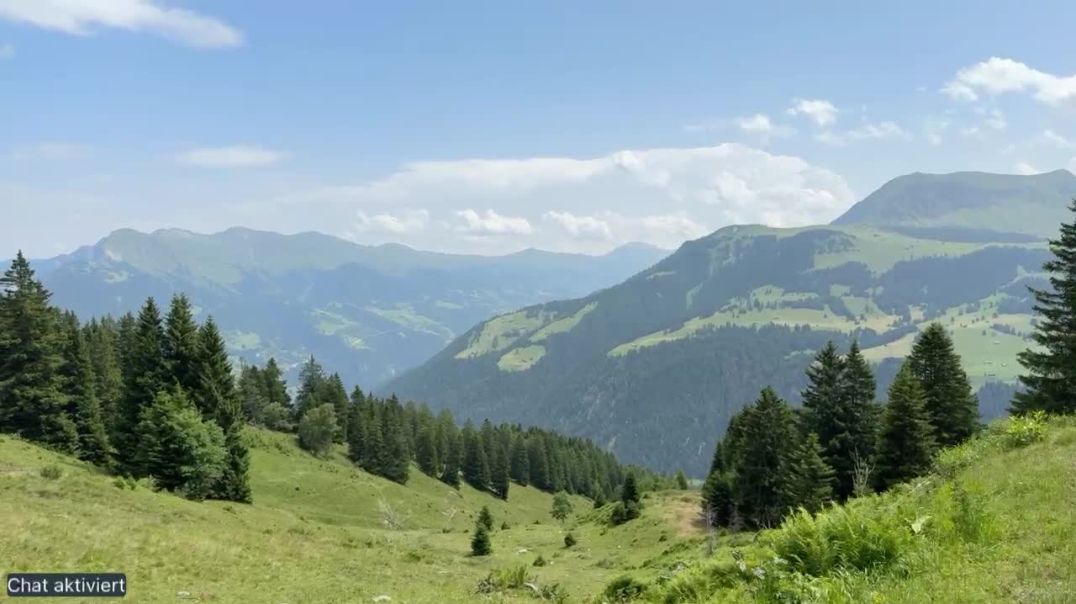 ⁣Erholung und spazieren im Wald - 26.06.2025