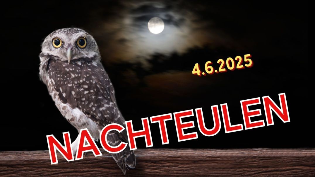 ⁣Nachteulen - 04.06.2025