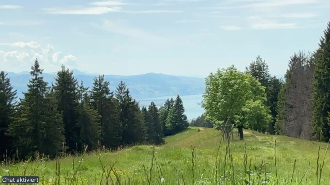 ⁣In der Natur - 31.05.2025